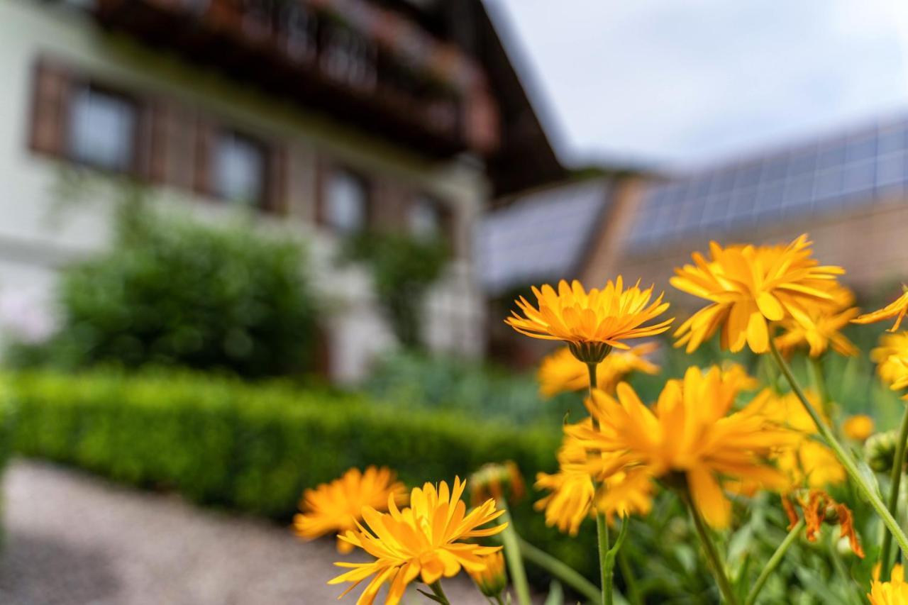 Am Doettelbach Apartment Bad Peterstal-Griesbach Exterior photo