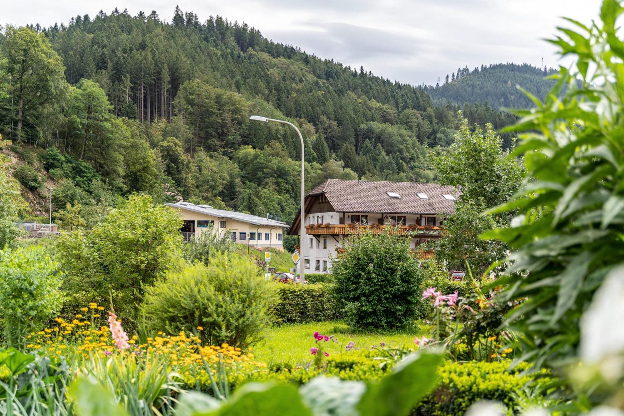 Am Doettelbach Apartment Bad Peterstal-Griesbach Exterior photo